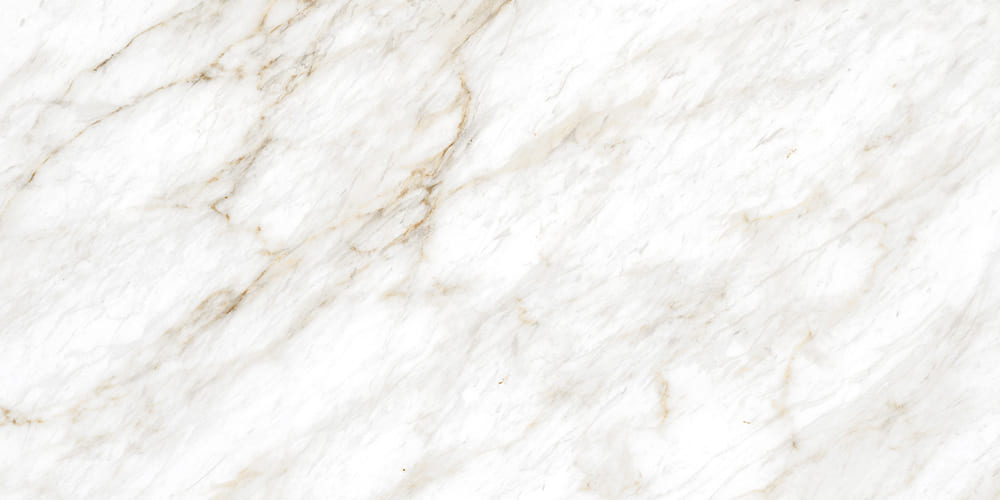 calacutta-nt-bg-wg-pl-120x240-cm