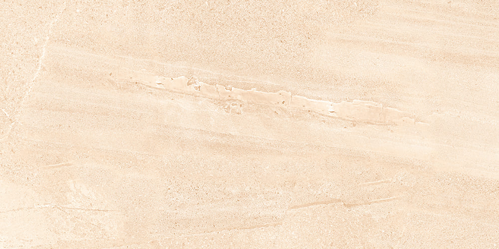 dawn-tan-bg-spl-ef-mt-60x120-cm
