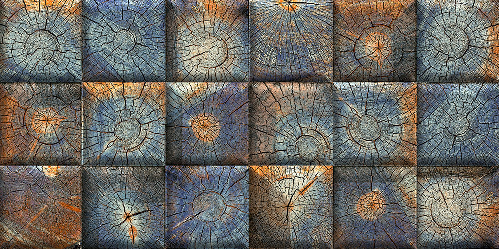 tronc-decor-gl-45x30-cm