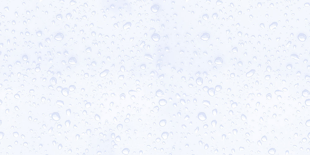 peonia-lt-bl-gl-45x30-cm