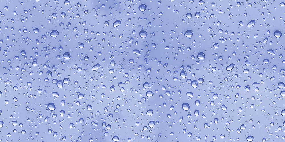 peonia-dk-bl-gl-45x30-cm