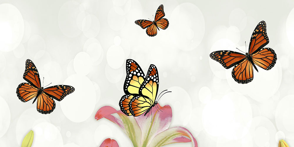 pappilon-decor-1-gl-45x30-cm