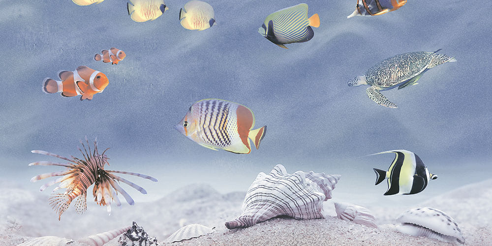 Atlanta Decor 1 Bl Gl 45X30 Cm