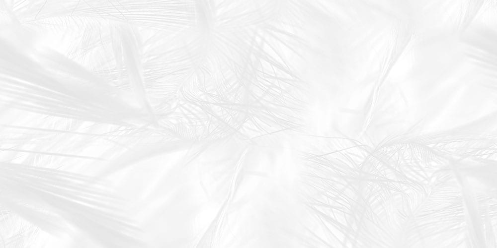 Bellis Lt Gl 45X30 Cm