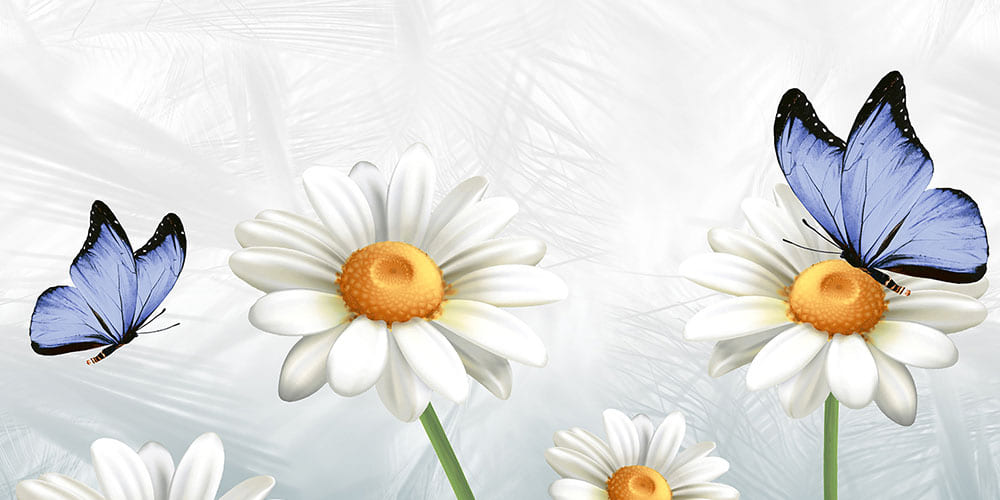 Bellis Decor 1 Gl 45X30 Cm