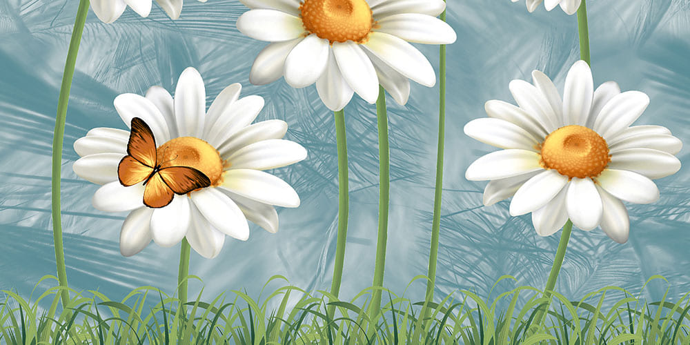 Bellis Decor 2 Gl 45X30 Cm