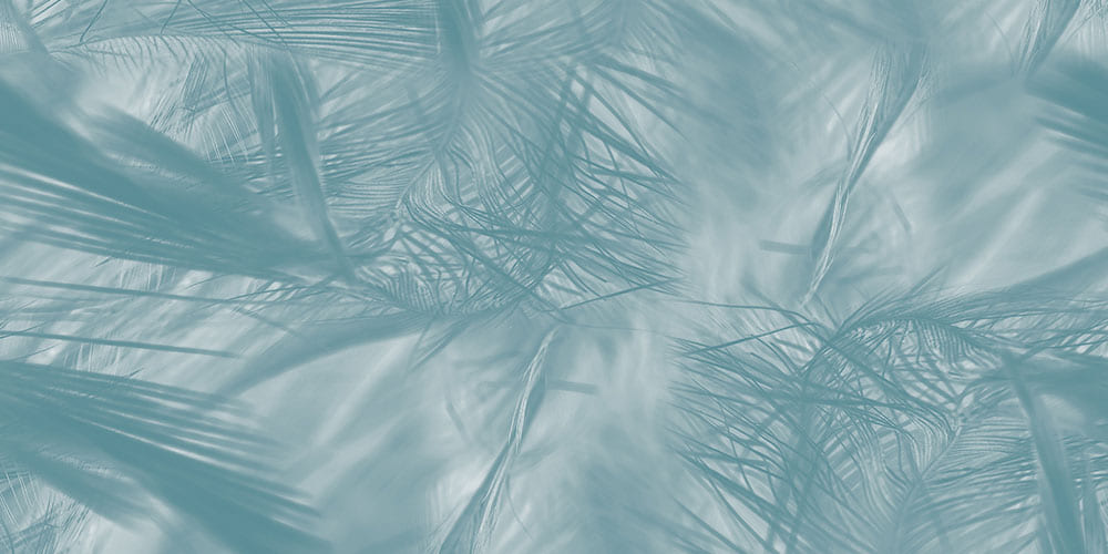 Bellis Dk Gl 45X30 Cm