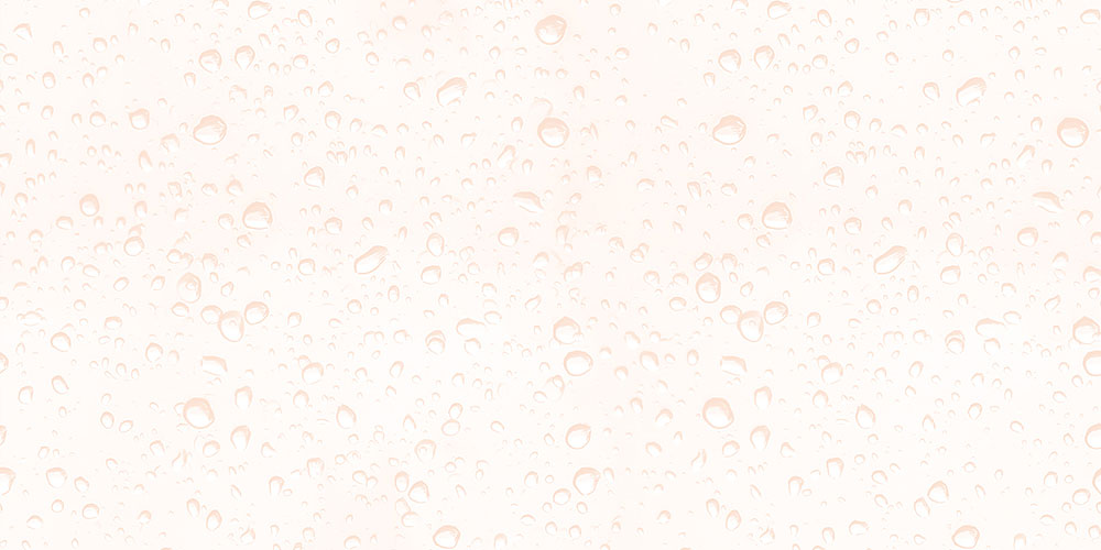 peonia-rose-lt-gl-45x30-cm