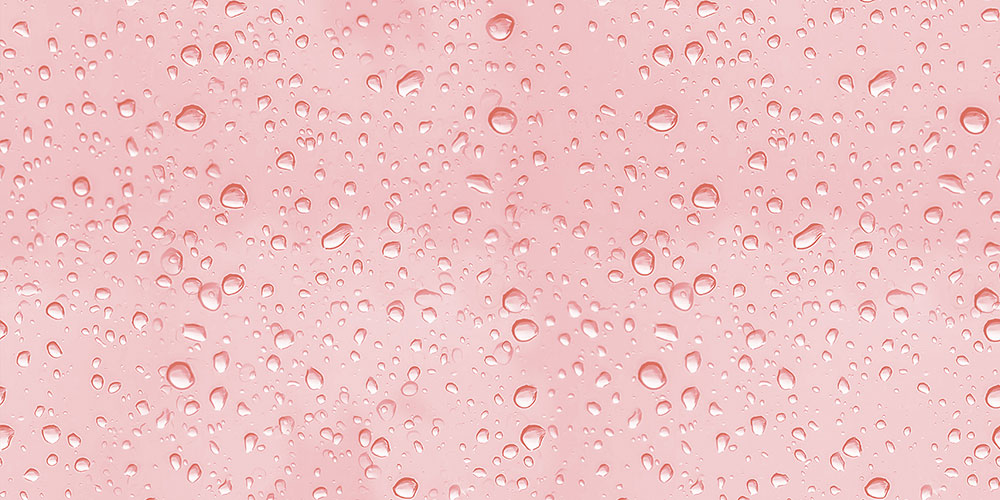 peonia-rose-dk-gl-45x30-cm