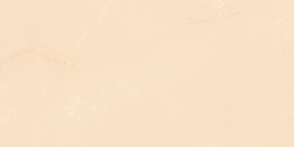 felci-lt-bg-gl-45x30-cm