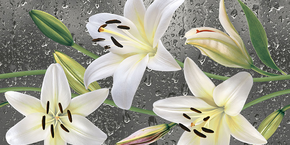 lilia-decor-gr-gl-45x30-cm