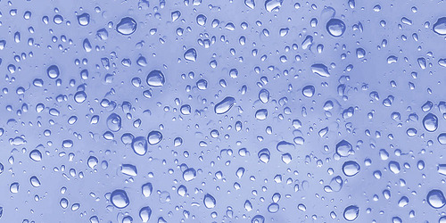 peonia-dk-bl-fl-mt-30x30-cm