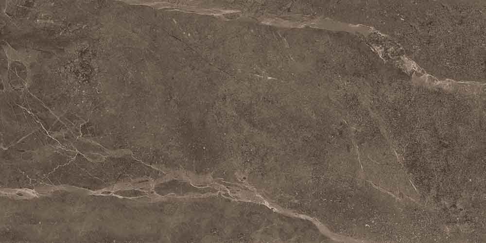 dazz-carter-brown-spl-ef-mt-sixty-x-one-hundred-twenty-cm