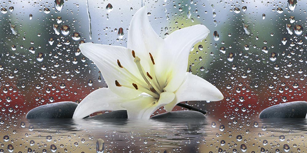 lily-decor-one-gl-forty-five-x-thirty-cm