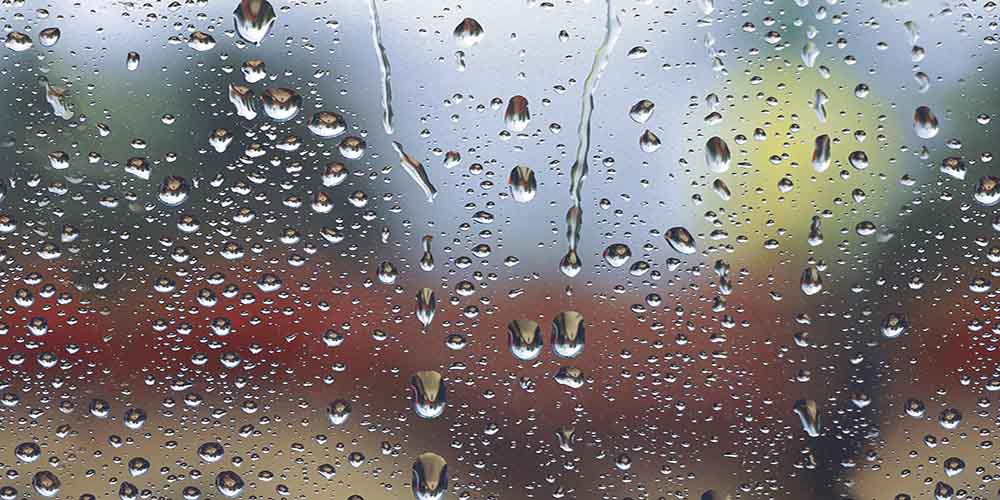 lily-dk-gl-forty-five-x-thirty-cm